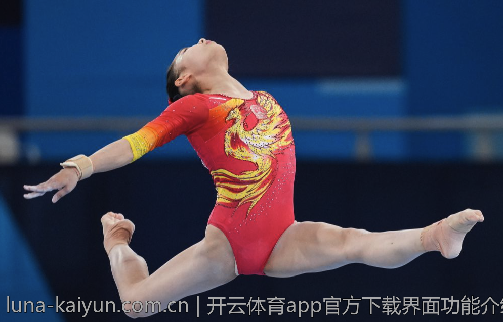 开云体育app官方下载界面功能介绍